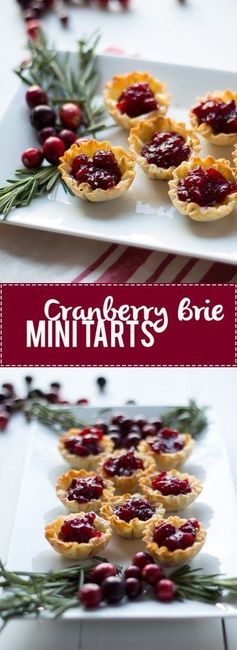 Cranberry Brie Mini Tarts