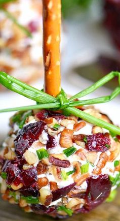 Cranberry Pecan Mini Goat Cheese Balls