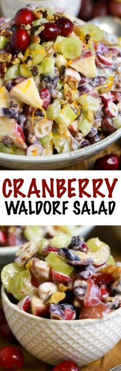 Cranberry Waldorf Salad