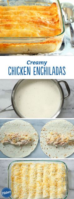 Creamy Chicken Enchiladas