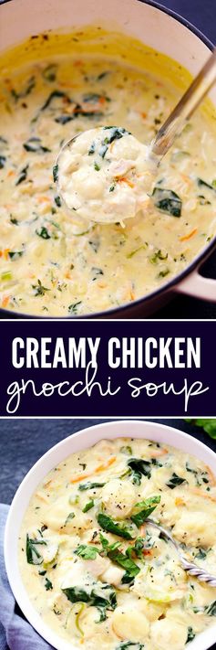 Creamy Chicken Gnocchi Soup (Olive Garden Copycat