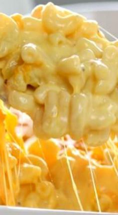 Creamy Macaroni and Cheese Casserole