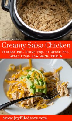 Creamy Salsa Chicken – Low Carb, THM S