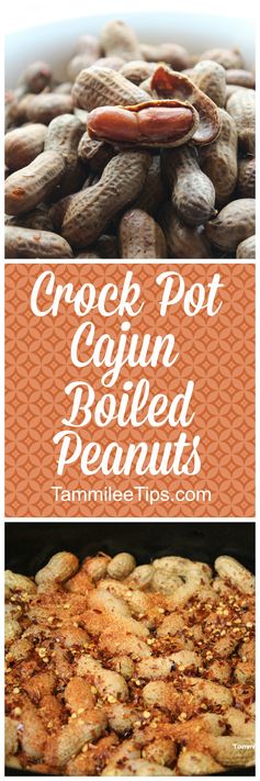 Crock Pot Cajun Boiled Peanuts