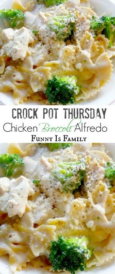 Crock Pot Thursday: Chicken Broccoli Alfredo