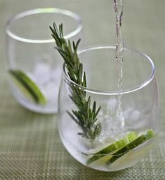 Cucumber-Rosemary Gin and Tonic