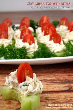 Cucumber Tomato Bites with Creamy Parmesan Herb Spread