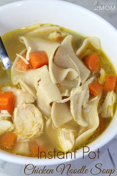 Easy Instant Pot Chicken Noodle Soup