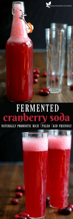 Fermented Cranberry Soda :: A naturally probiotic rich, kid friendly, real food soda