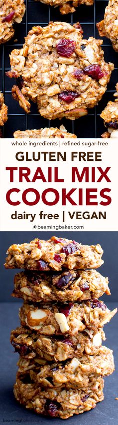 Gluten Free Trail Mix Cookies (Vegan, Gluten Free, Dairy Free