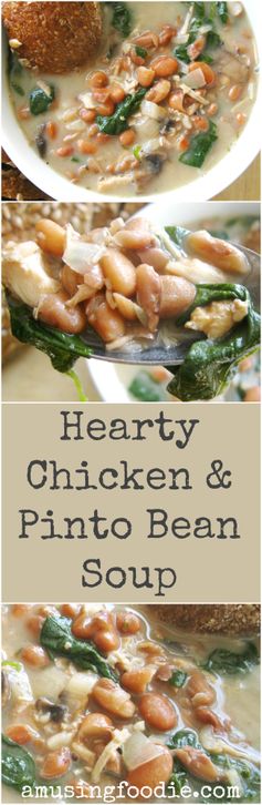 Hearty Chicken and Pinto Bean Soup