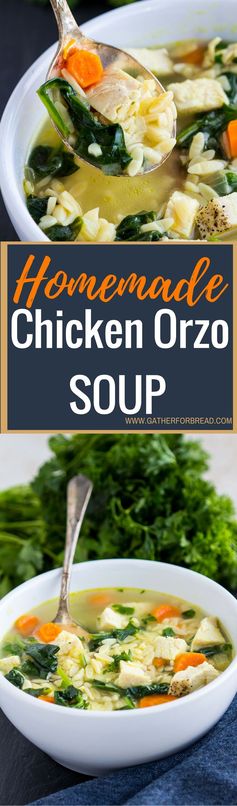 Homemade Chicken Orzo Soup