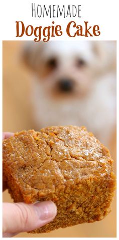 Homemade Doggie Cake