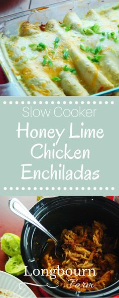 Honey Lime Chicken Enchiladas