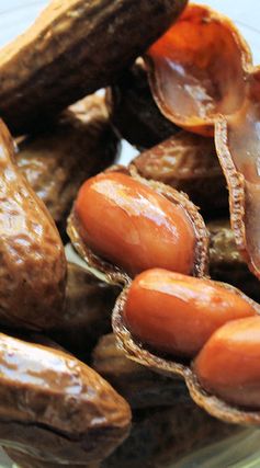 Instant Pot Boiled Peanuts