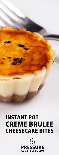 Instant Pot Cheesecake Creme Brulee Bites