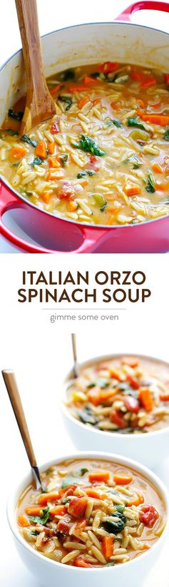 Italian Orzo Spinach Soup