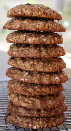 Low Fat Oatmeal Chocolate Chip Cookies