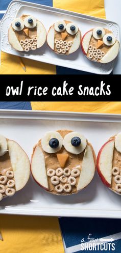 Owl Rice Cake Snacks