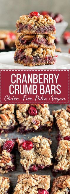 Paleo Cranberry Crumb Bars