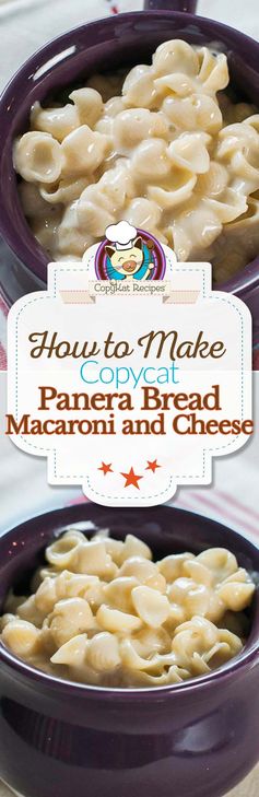 Panera Bread Macaroni and Cheese