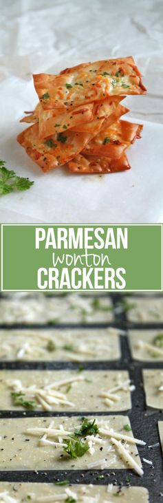 Parmesan Wonton Crackers