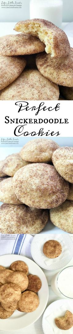 Perfect Snickerdoodle Cookies