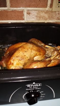 Perfect Turkey in an Electric Roaster Oven