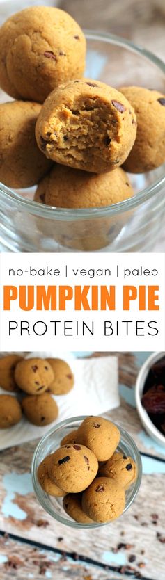 Pumpkin Pie Protein No-Bake Bites