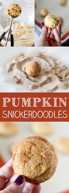 Pumpkin Snickerdoodle Cookies