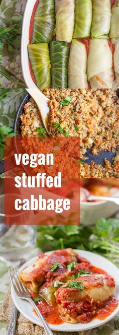 Quinoa & Lentil Stuffed Vegan Cabbage Rolls