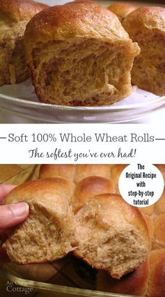 Soft 100% Whole Wheat Dinner Rolls