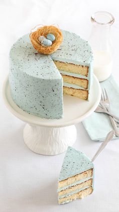 Speckled Egg Malted Milk Cake