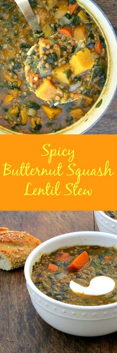 Spicy Butternut Squash Lentil Stew