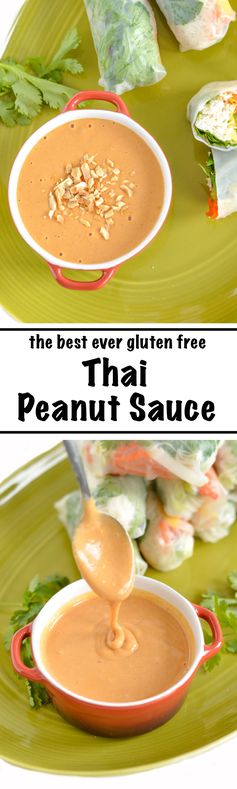 The Best Ever Thai Peanut Dipping Sauce