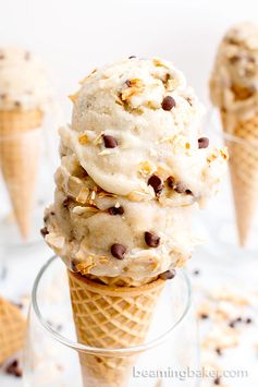 Toasted Coconut Chocolate Chip Nice Cream (Vegan, Dairy Free, Gluten Free