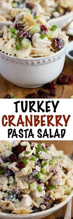 Turkey Cranberry Pasta Salad