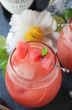 Watermelon Rhubarb Gin Fizz