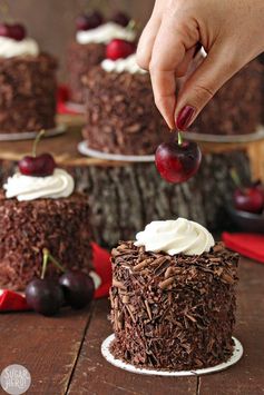 Black Forest Mini Cakes