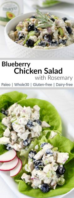 Blueberry Chicken Salad with Rosemary