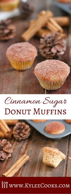 Cinnamon Sugar Donut Muffins