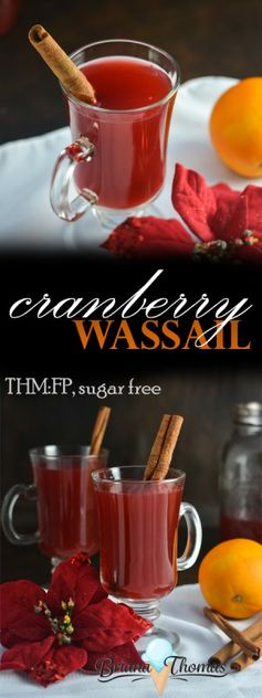 Cranberry Wassail