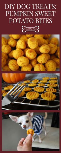 DIY Dog Treats: Pumpkin Sweet Potato Bites