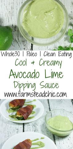 Paleo & Whole30 Avocado Lime Sauce