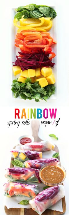 Rainbow Spring Rolls with Ginger Peanut Sauce