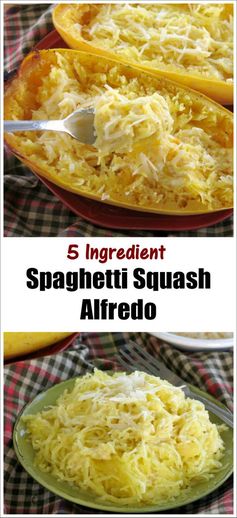 Spaghetti Squash Alfredo - Just 5 Ingredients