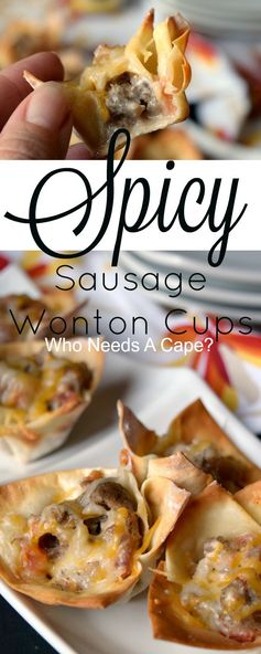 Spicy Sausage Wonton Cups