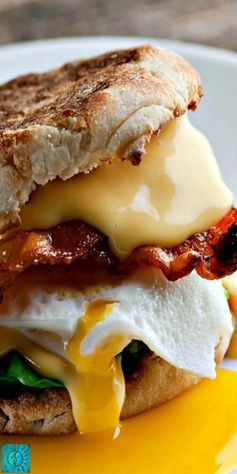 The Best Breakfast Sandwich