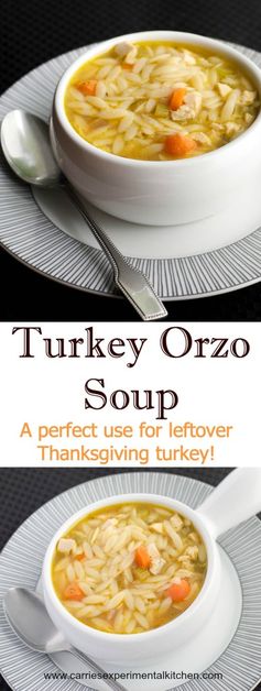 Turkey Orzo Soup