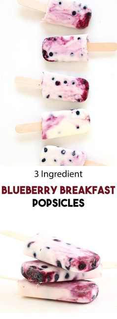 3 Ingredient Blueberry Breakfast Popsicles